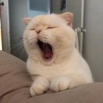 아니 뒷담 <b>깔</b> <b>때</b> 나만 그러냐