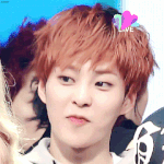 개쌉주관적인 엑소 멤버별 레전드 날짜(데뷔초)