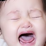 애기때 <b>과사</b>가 이렇게 고화질이어도 되나요