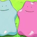 너네 먹으면 무조건 <b>설사</b>하는 조합있음??