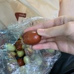 [NCT] ㅅㄷ)태용이따라했어