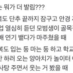 [19] 너넨 뭐가 더 좋아? ㅎㅎ