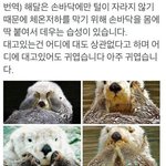 [댓글부탁해] <b>엽떡</b>은 맛이 순해질수록 짜지는 듯