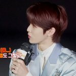 [NCT즌] ㄹㅇ 개뽀둥아니냐?