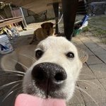나 <b>불닭</b> 특이하게 먹는거야??