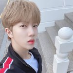 [크래비티] 내 최애는 울 말랑뽀둥강아지 <b>원진</b>이❤️