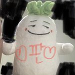 [드루와] 내 <b>반려</b>무 보실???
