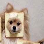 <b>estp</b>들아 너네진짜 잘난맛에 살아?