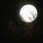 인스타 <b>비계</b> 계속 팔로우 거는건 뭔심리임