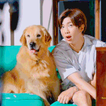 [방탄소년단] 남준이 덕에