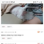 [TXT모아] 이거 혹시 우리 ㅁㅁ모아야?