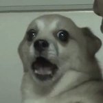 [19] 우리 <b>집안</b> 난리났다...