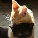 <b>연휴</b> 끝이네