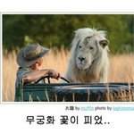 아니 이짤 <b>사자</b> 개졸귀넼ㅋ__ㄱㅋㄱㅋ