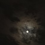 [이것좀봐줘] 이거 어떻게 생각해요??