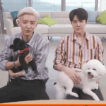 <b>찬열</b> 강아지vs디오 강아지