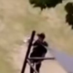 지나가던 개가 봐도 <b>박찬</b>10인데