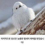내일학교가는애들지금안<b>자면</b>내일8시30분에일어남ㅋㅎㅋㅎㅋㅎㅎㅋㅎㅋㅎ...