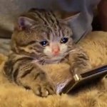 [드루와] 올해 재수생 반수생 <b>배출</b> 조카 함