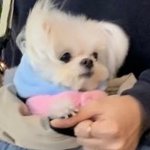 얘ㅐ들ㅇ항 나 <b>자러</b>갉게