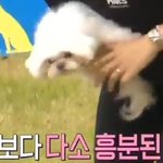 아멍대 유일한 기권자 갓세븐 <b>영재</b>네 코코