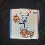 [댓글부탁해] 다마고치 쌍둥이 <b>성장</b>했는데 괜찮냐