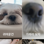 [빅톤] 수빈잌ㅋㅋㅋ