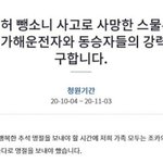 “울음바다 된 추석… 10대 무면허 뺑소니는 살인”