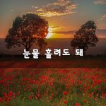 [꼭봐주세요] 눈물 흘려도 돼~