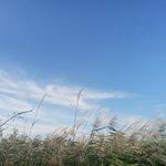 우리 집 앞 한강공원 <b>산책</b>했지