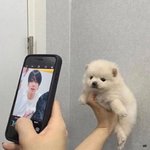 [방탄소년단] 근데 꾹아 이거 짹에도 올려주면 안되나