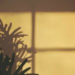 [댓글부탁해] 너 없을때 <b>니</b> <b>방</b> 뒤지는 엄마 어떰?