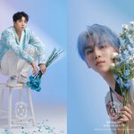 [펜타곤] 유니들 <b>취향</b>은?
