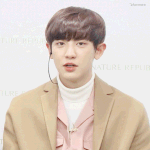 찬열 강아지상인거 신기함