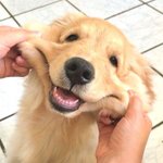 [방탄소년단] <b>이번주도</b> 수고했다ㅜㅜㅜ