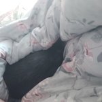 [19] 엉덩이 <b>빛삭</b>
