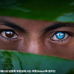 ‘파란색 <b>눈동자</b>’를 가진 인도네시아 부족민