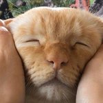 <b>한</b> 번 신은 운동화 <b>팔</b>건데 얼마에 파는게 좋을지 봐주라