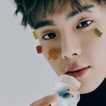 <b>셔누</b> 얼굴에 누가 저런거 붙여놨냐