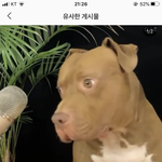 <b>이런렌즈</b>없나