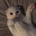 [댓글부탁해] 기타와 피아노 협주곡중 감성적인곡 추천;;