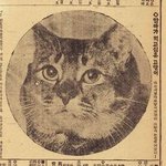 [19] 온클 <b>배속</b> 못하게했으면 좋겠음