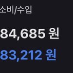 나 한달용돈 5만원인데