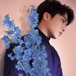 [펜타곤] 유니들 울 대돌조
