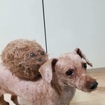 피부과 안가고 일주일만에 애기피부 되는법 알려줄게!!