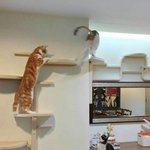 리폼하니 또 새로운 가구 금<b>손들</b>