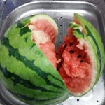 [NCT] <b>수마</b>박크 따라잡기.