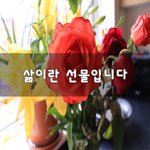 [50대] 삶이란 선물입니다~