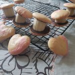 들어는 봤니 <b>버섯</b>카롱