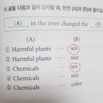 [이것좀봐줘] 동생 영어 과외 <b>숙제</b> 도와주고 있는데......